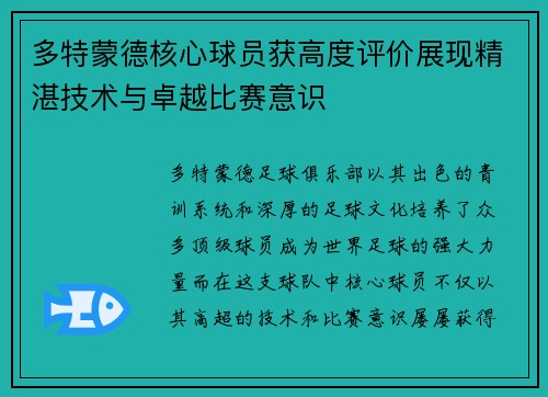 多特蒙德核心球员获高度评价展现精湛技术与卓越比赛意识